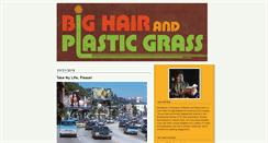 Desktop Screenshot of bighairplasticgrass.com